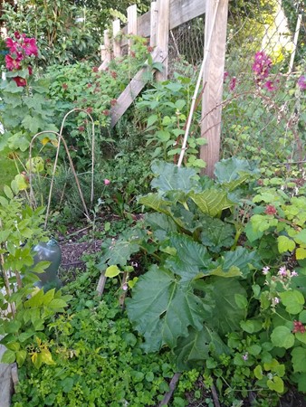 Medium property photo - Valentijnkade 119, 1095 JL Amsterdam